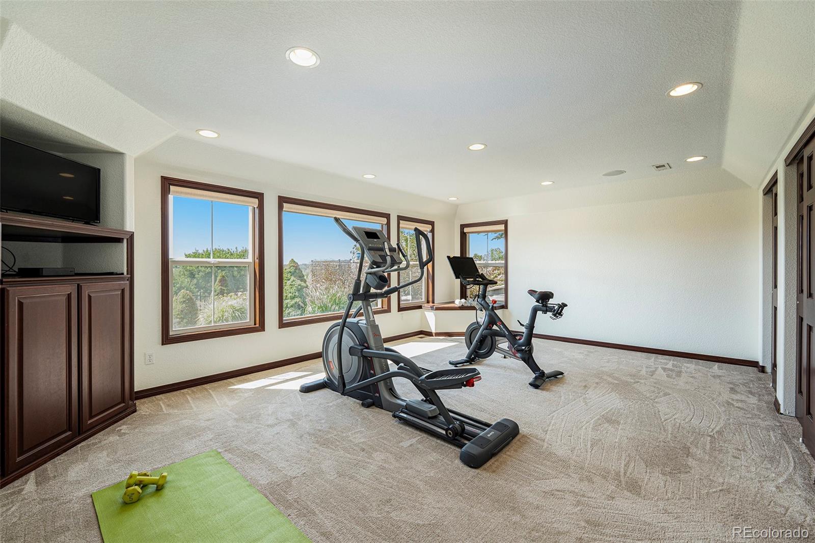 9005 Stonecrest Way Highlands Ranch, CO 80129 - Photo 33 of 48 Gallery Image 33