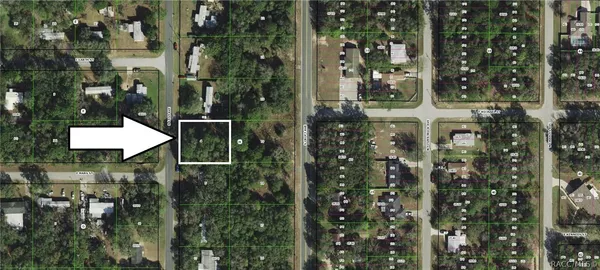 $23,500 | 69 North East Avenue, Inverness, FL 34453