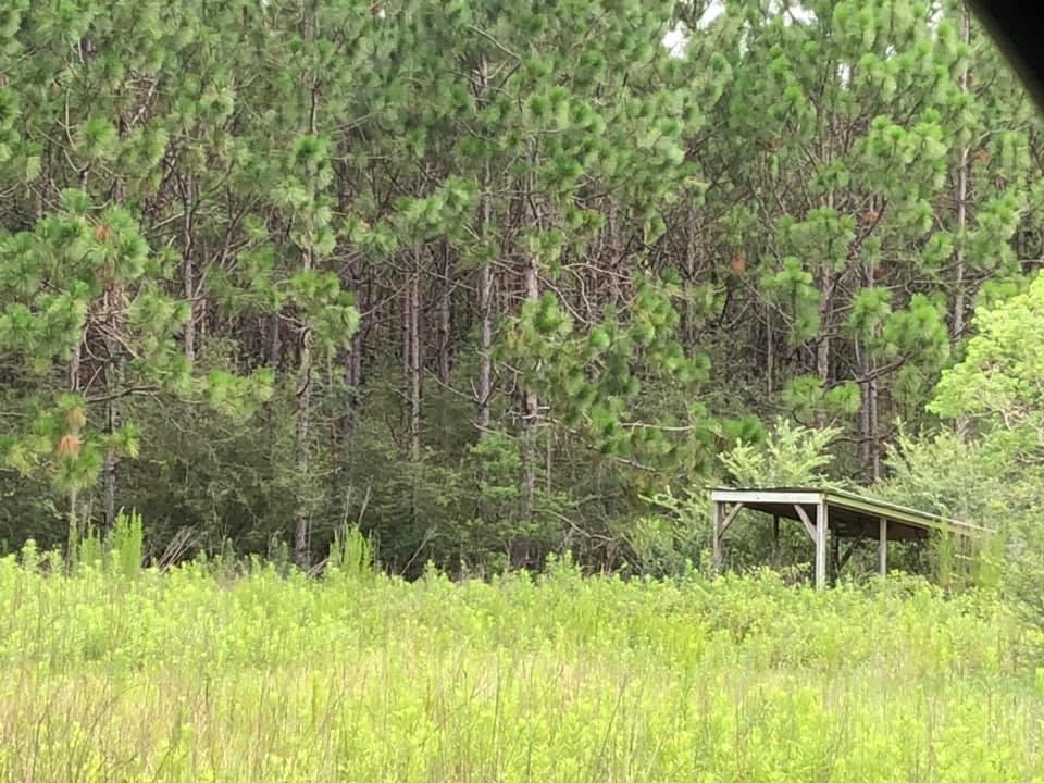 1922 Harrison Road DeFuniak Springs, FL 32433 - Photo 5 of 7 1922 Edge of property