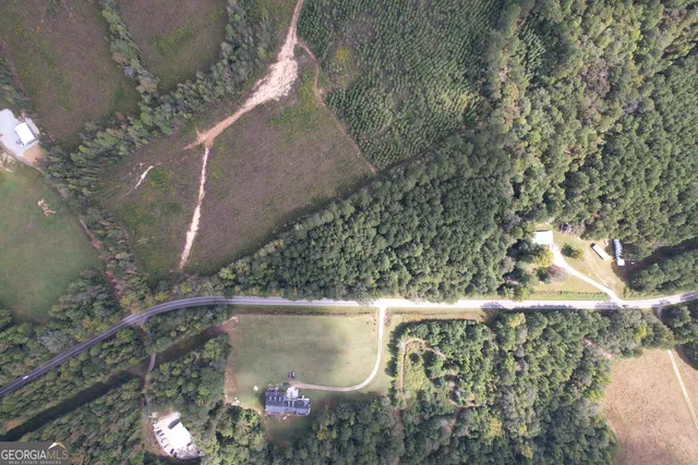 a water fountain in the middle of a forest