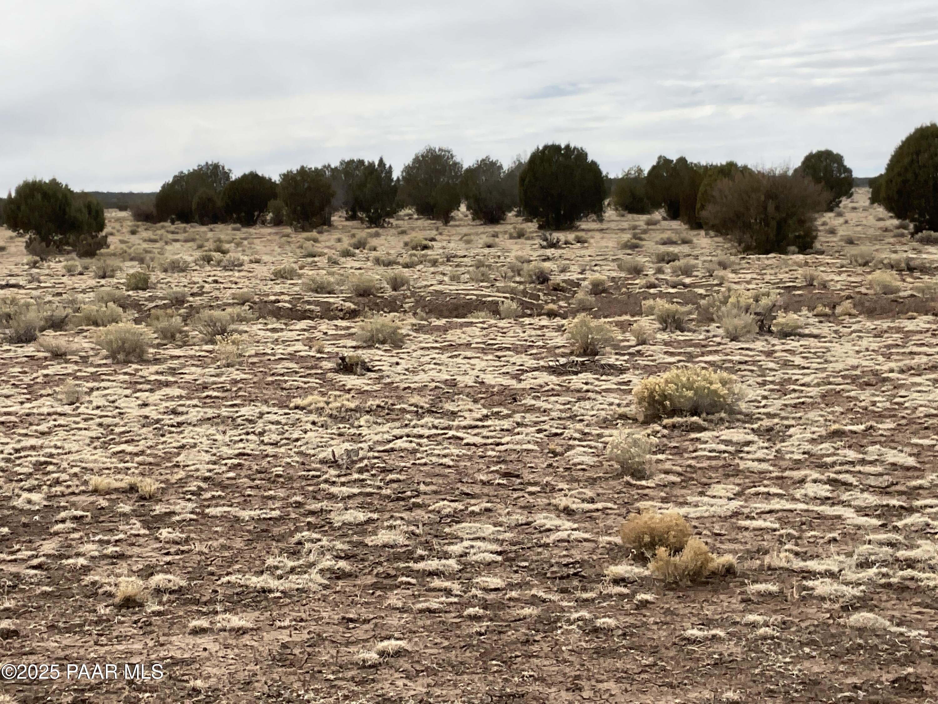 84 A Ravens Rest Road Seligman, AZ 86337 - Photo 8 of 10 IMG_3934