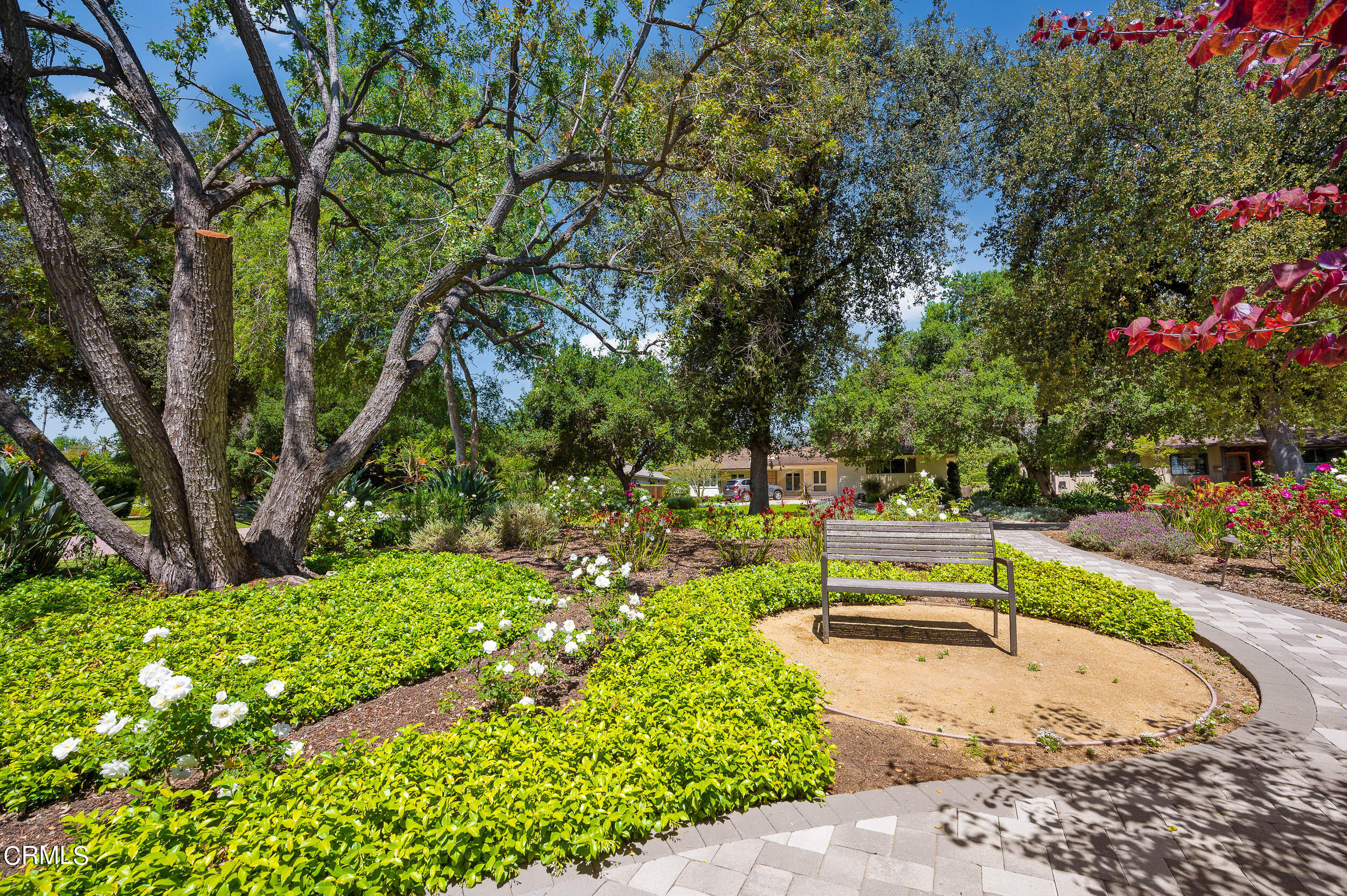 3770 Shadow Grove Road Pasadena, CA 91107 - Photo 45 of 61 a view of park with bench and trees