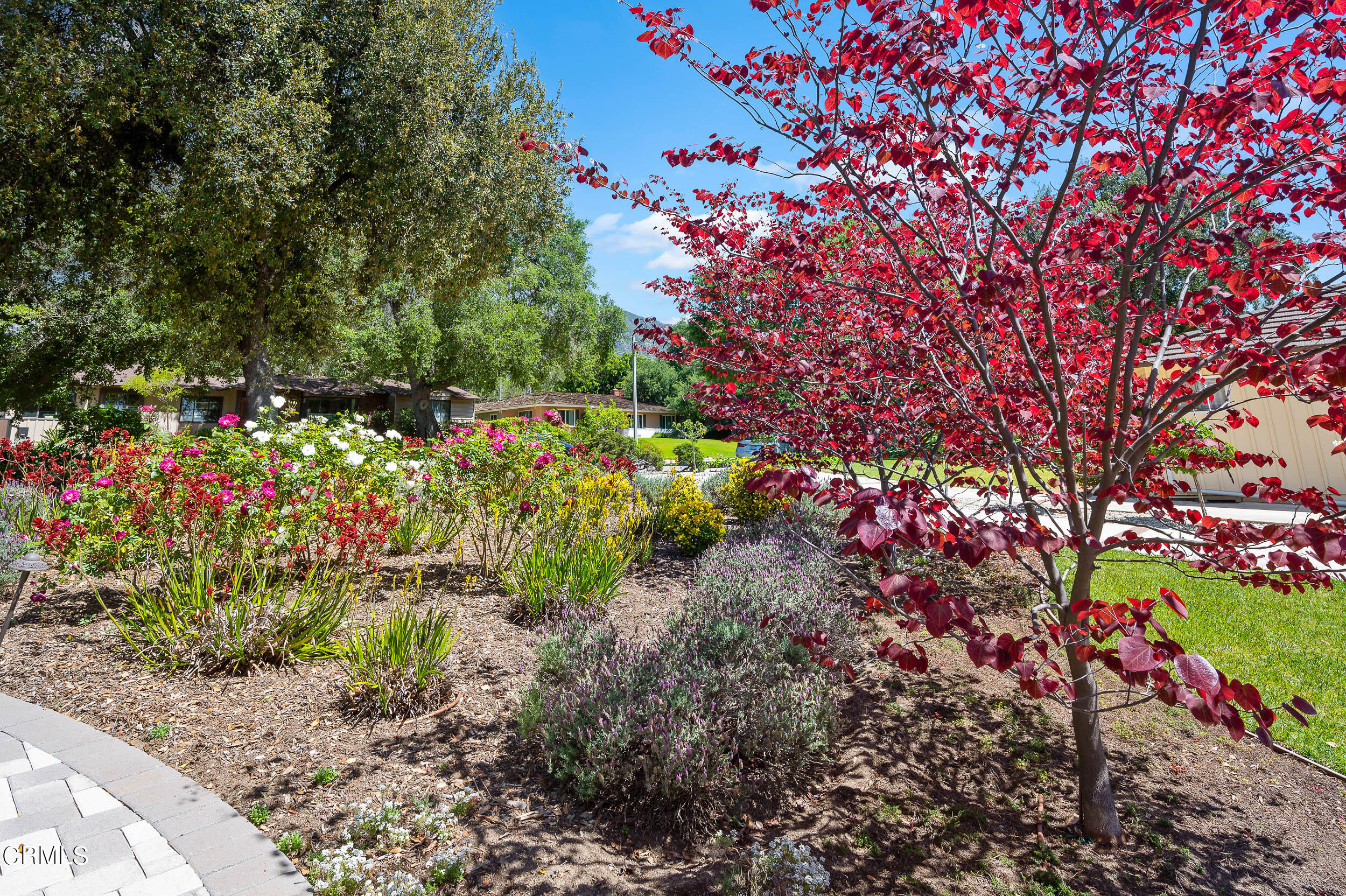 3770 Shadow Grove Road Pasadena, CA 91107 - Photo 46 of 61 ShadowGrove-45