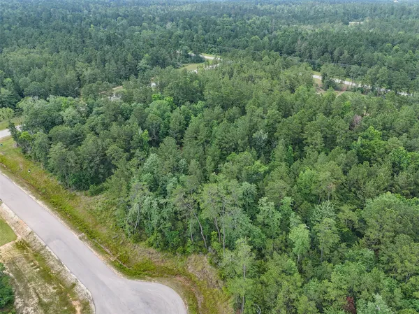 a view of a forest with a street