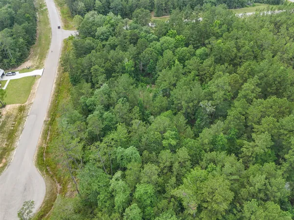 a view of a forest with a houses