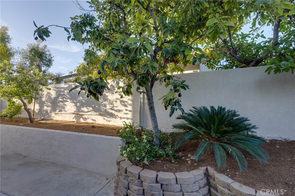31952 Mill Stream Road Trabuco Canyon, CA 92679 - Photo 26 of 74