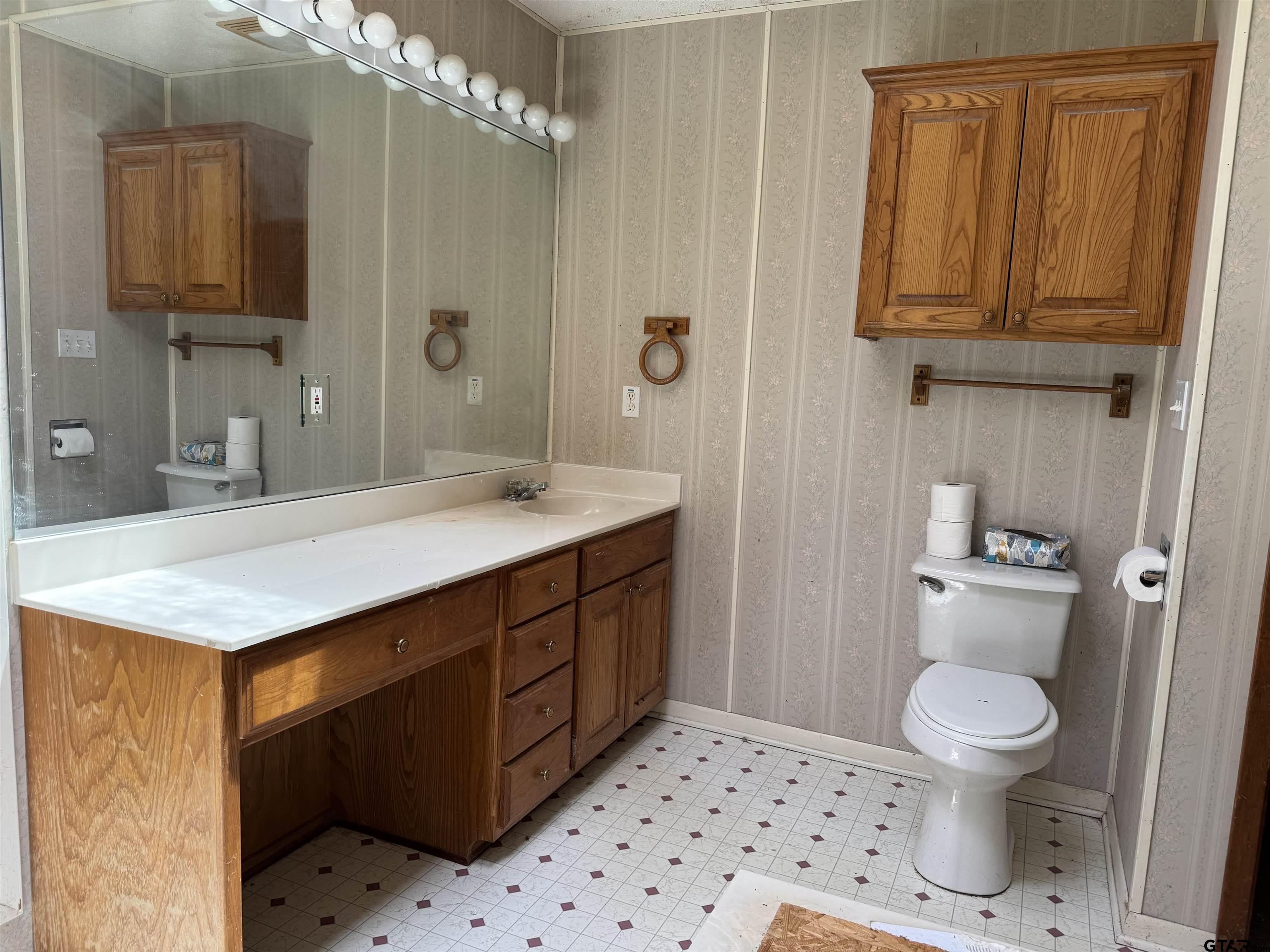 289 Llano Bend Holly Lake Ranch, TX 75765 - Photo 10 of 48 a bathroom with a sink a toilet and shower