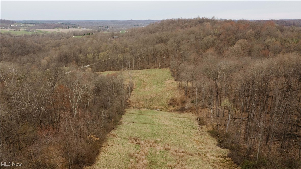 7146 Crowder Road Southwest Sherrodsville, OH 44675 - Photo 11 of 33 Aerial view with a forest view