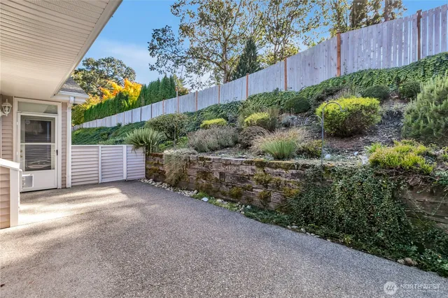 a view of a backyard