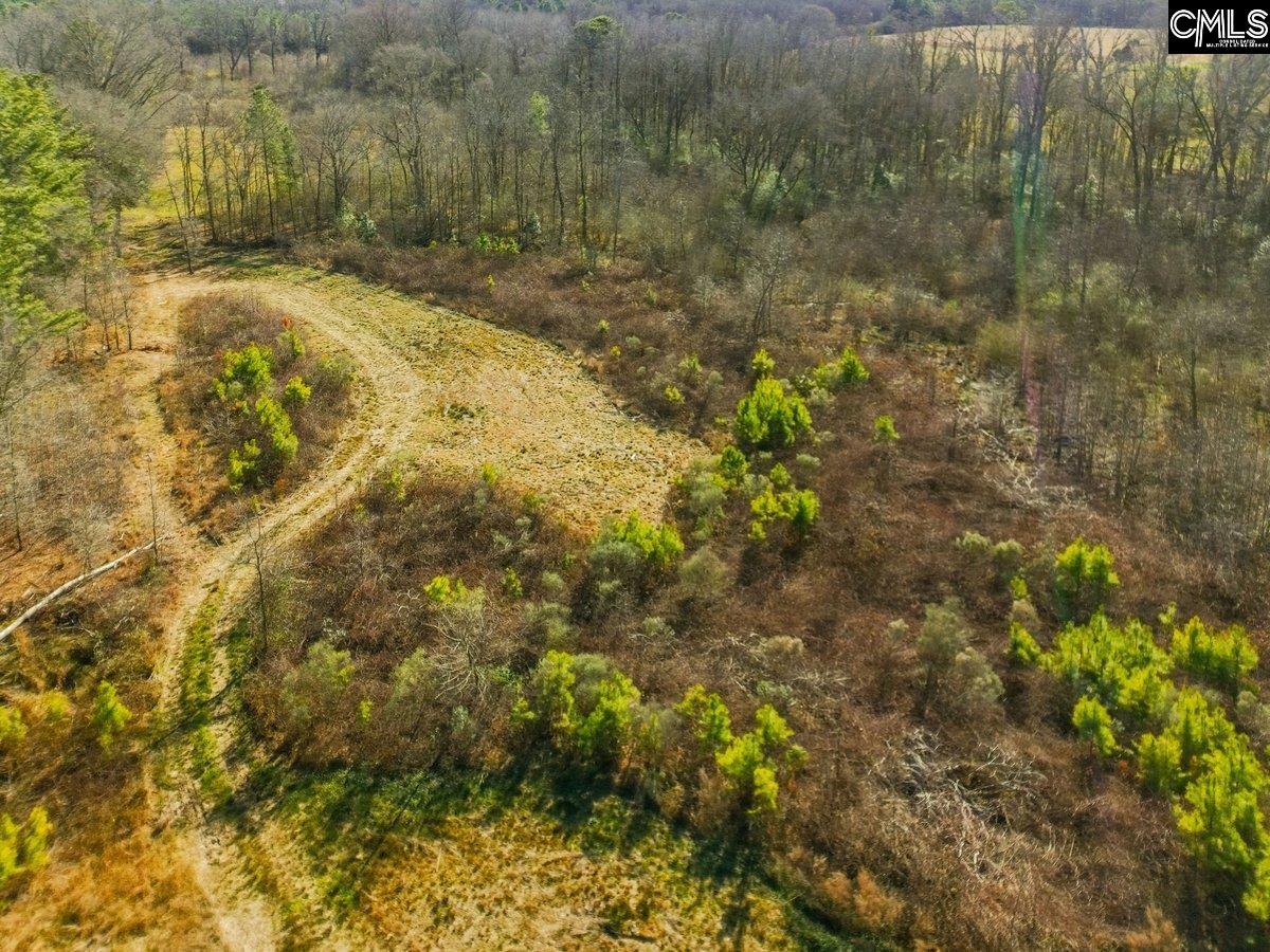 561 Church Road Batesburg, SC 29006 - Photo 3 of 24