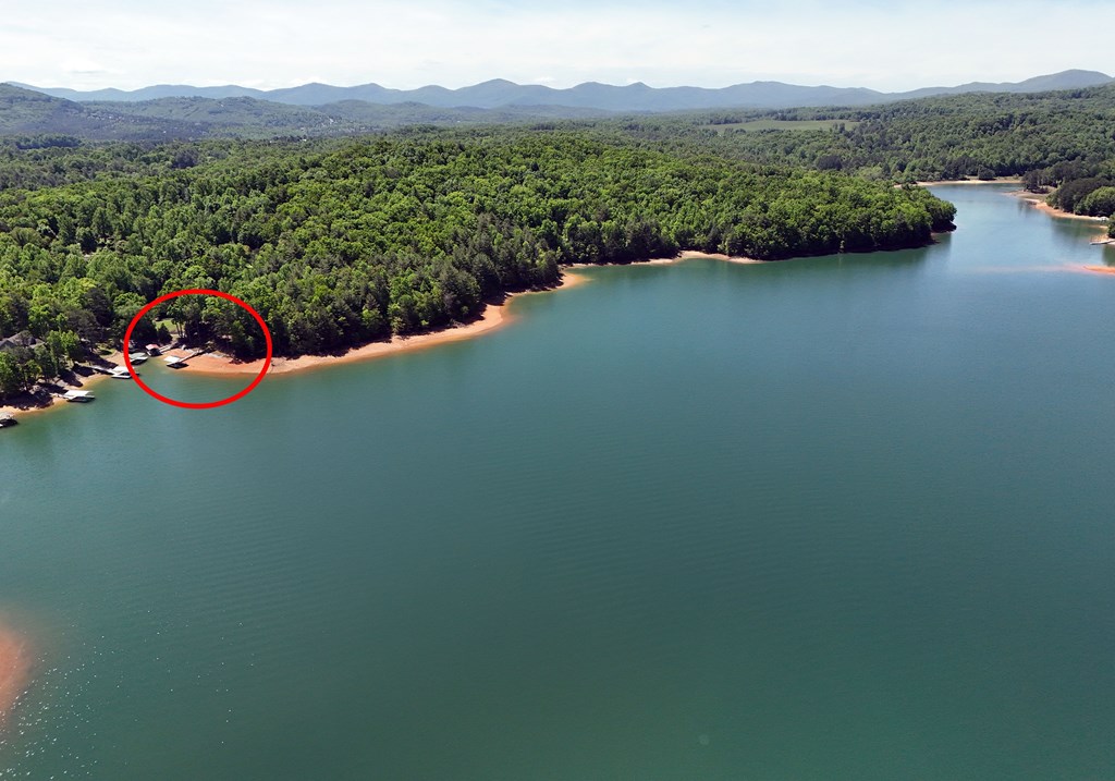 128 Old Dixie Road Blairsville, GA 30512 - Photo 4 of 46