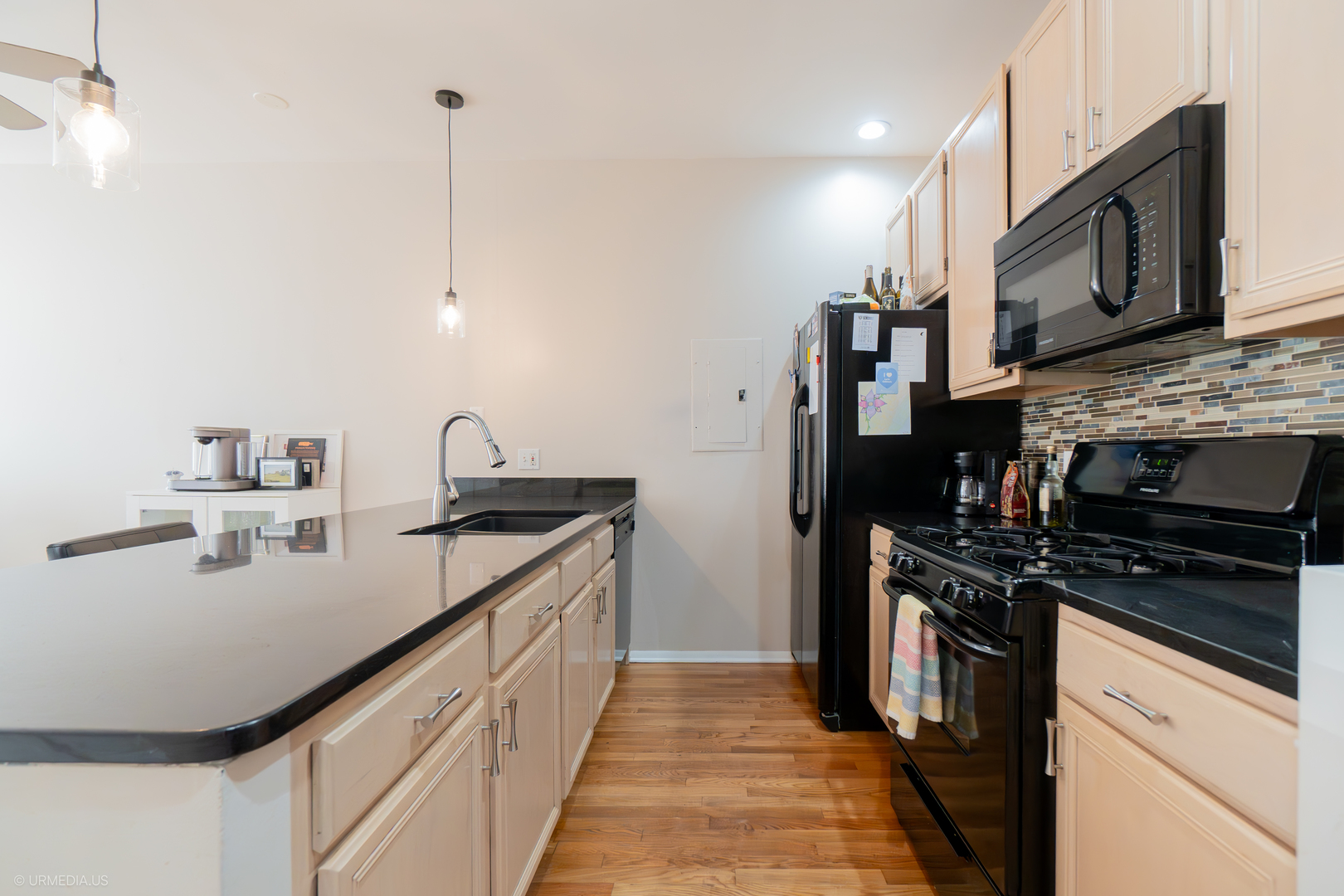 931 North Racine Avenue, Unit A Chicago, IL 60642 - Photo 9 of 27 Gallery Image 9