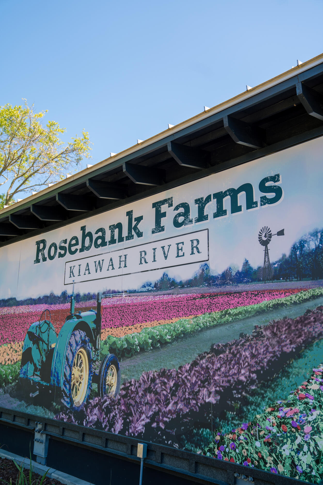 3329 Knot Alley Johns Island, SC 29455 - Photo 32 of 36 KR_Rosebank04575