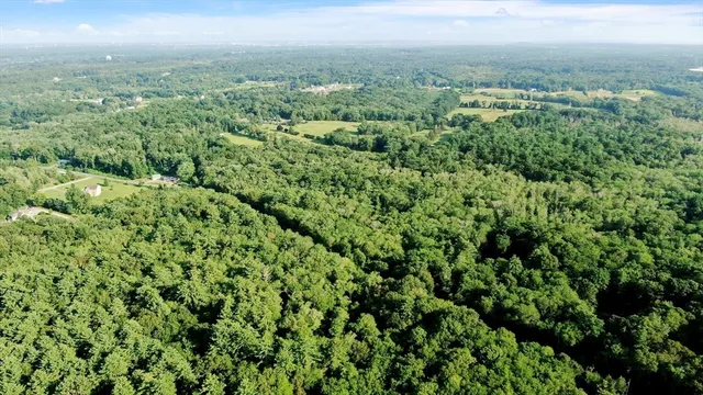 a view of a green field with lots of bushes
