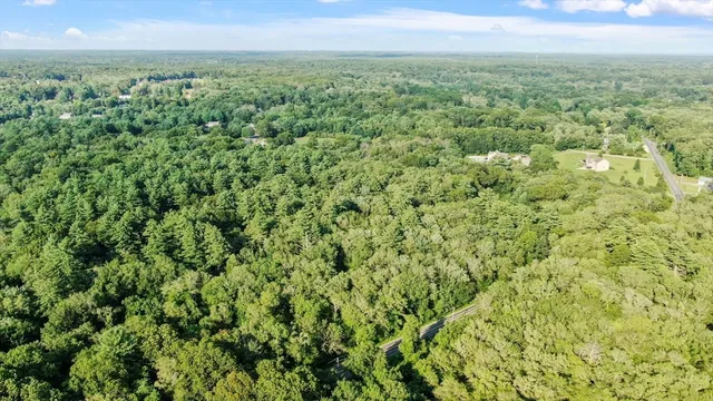 a view of a big yard with plants and large trees