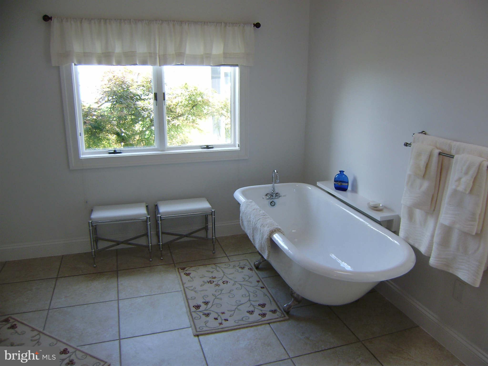 2858 Cox Neck Road Chester, MD 21619 - Photo 9 of 23 Bath (Master)