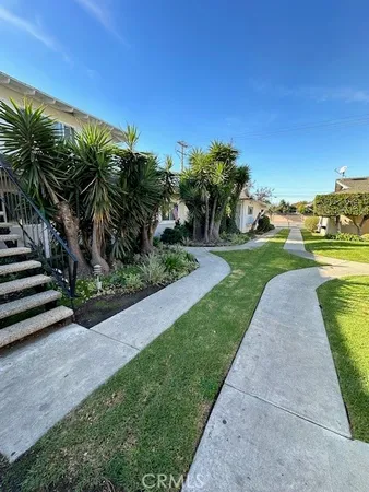 a view of a backyard with plants and palm trees