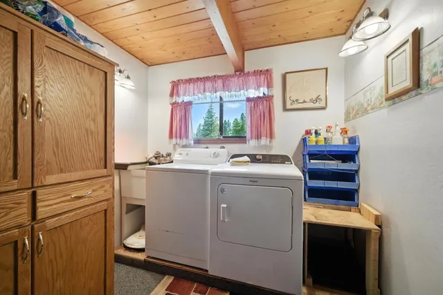 a view of a yard with plants and large trees