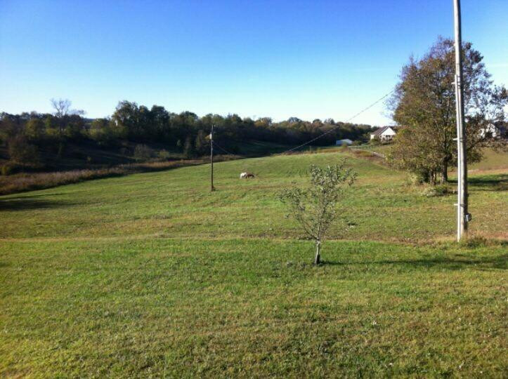 1742 Stamping Ground Road Georgetown, KY 40324 - Photo 21 of 22 Photo 21