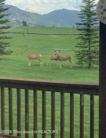 $1,399,000 | 431 Shooting Star Drive, Thayne, WY 83127