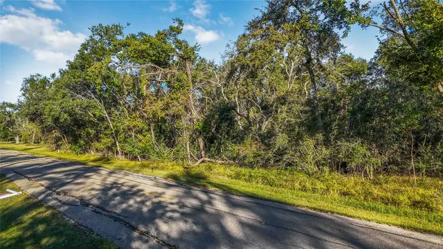 a view of yard with green space
