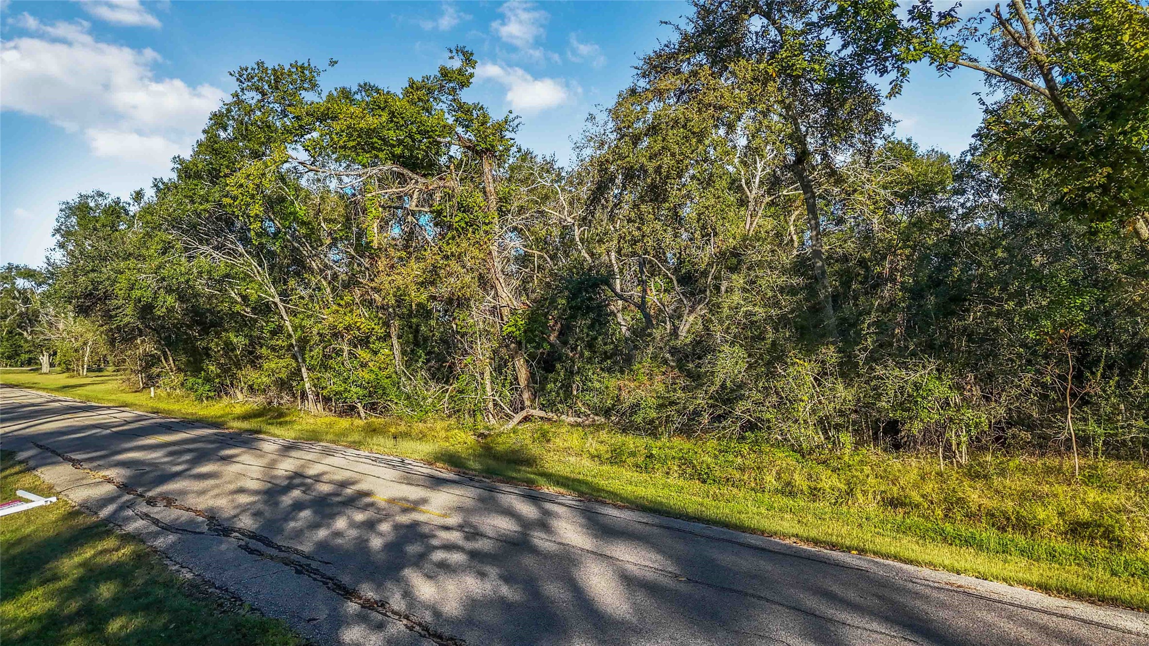 6051 Loyce Lane Damon, TX 77430 - Photo 3 of 13