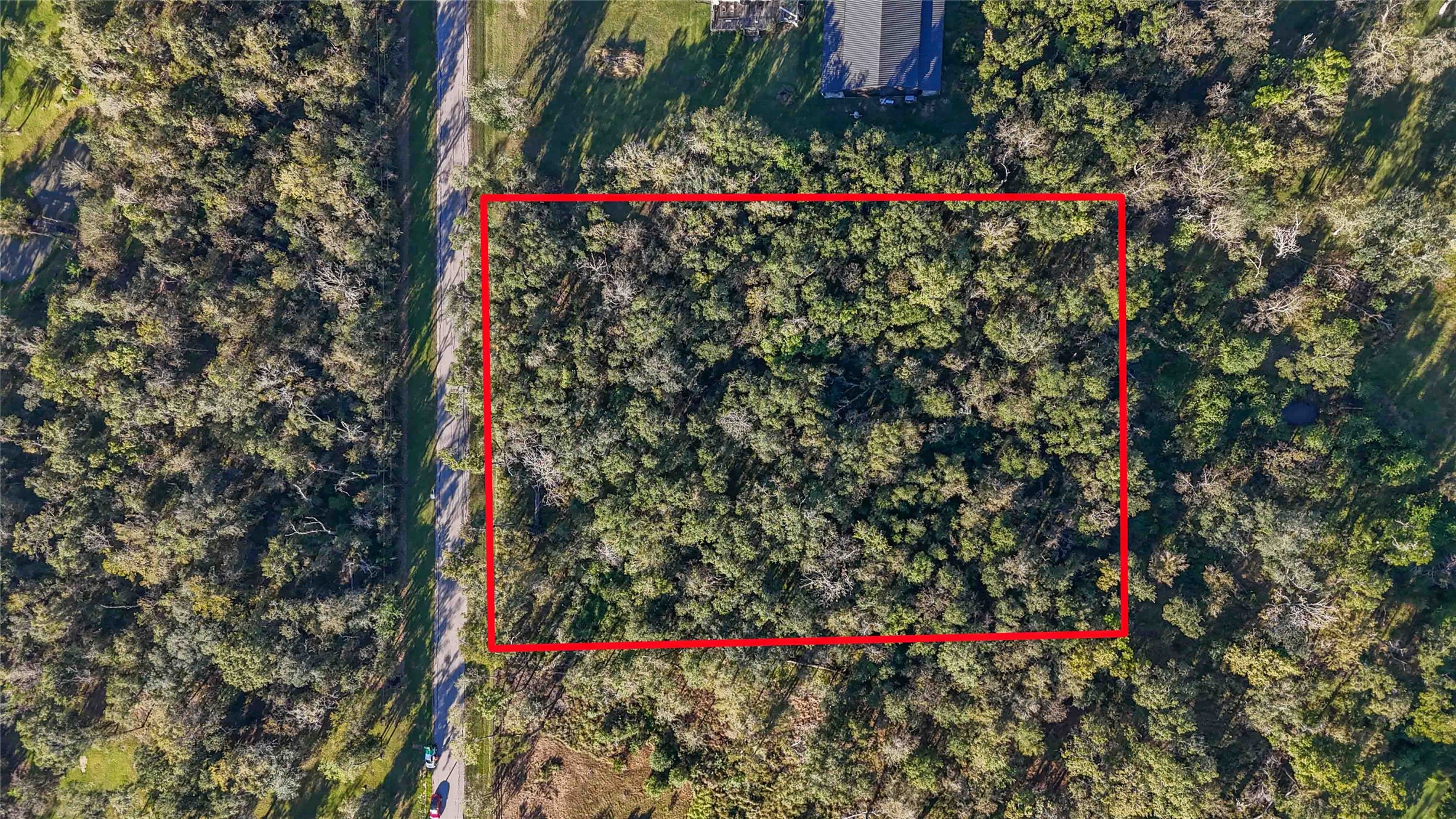 6051 Loyce Lane Damon, TX 77430 - Photo 4 of 13