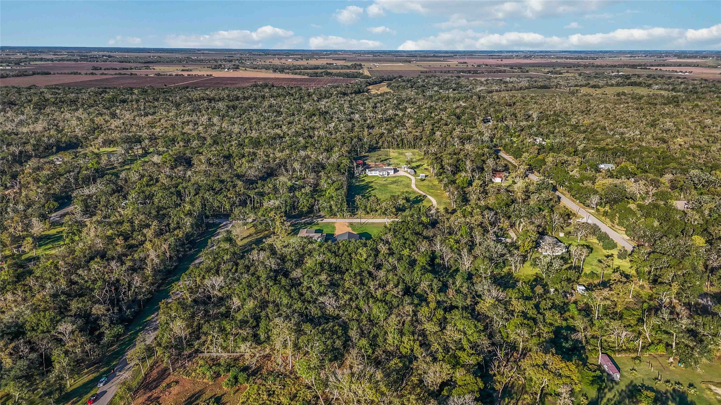 6051 Loyce Lane Damon, TX 77430 - Photo 10 of 13