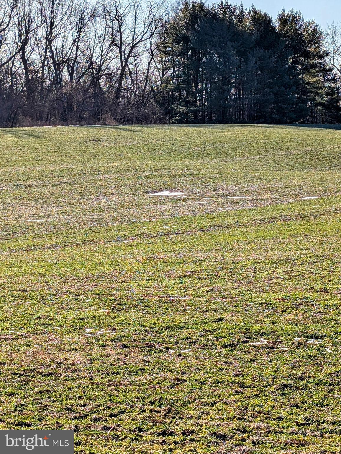 318 Chestnut Hill Road Palmyra, PA 17078 - Photo 9 of 25 Land View
