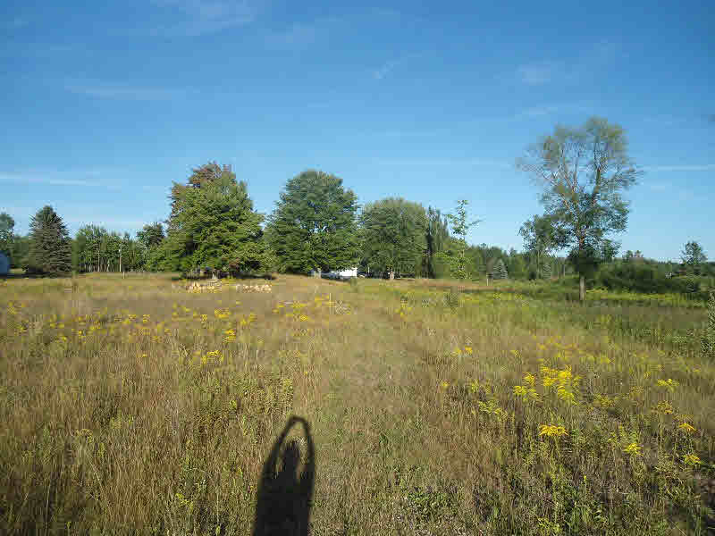 2996 Rhodes Road Rhodes, MI 48652 - Photo 18 of 19