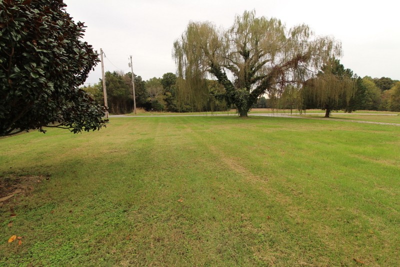 599 Lear Road Portland, TN 37148 - Photo 4 of 25 a view of yard and trees