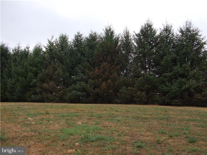 3988 Best Station Road Slatington, PA 18080 - Photo 13 of 14 Gallery Image 13