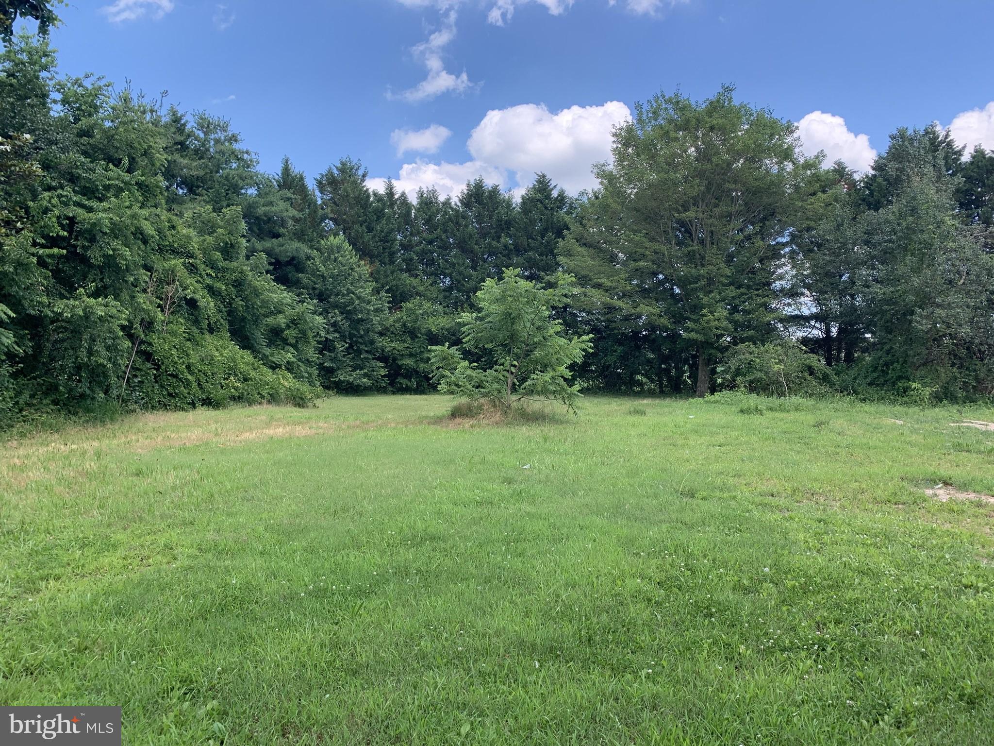 6405 Medford Road Hurlock, MD 21643 - Photo 4 of 8 area in front of homesite