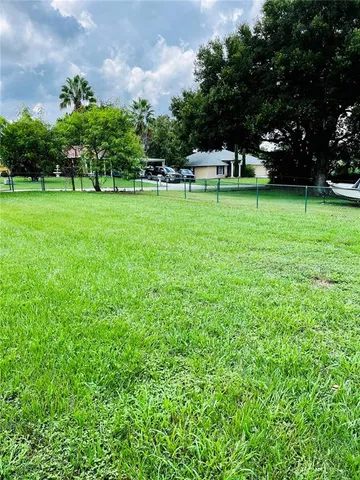 a view of a park with large trees