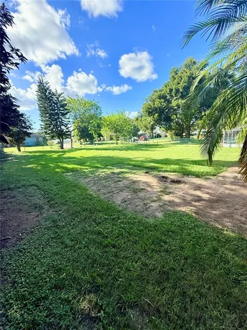 a view of a park that has a large tree