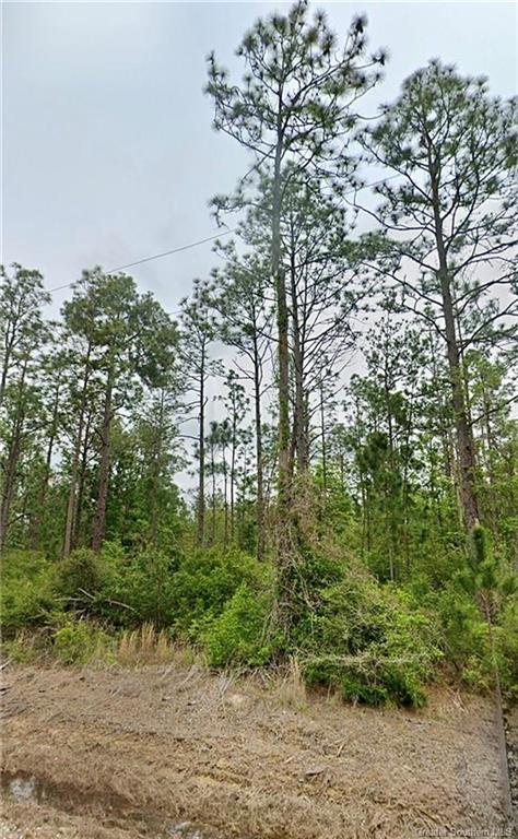 0 Sandy Lane Dequincy, LA 70633 - Photo 4 of 10