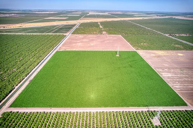a view of a backyard with a garden