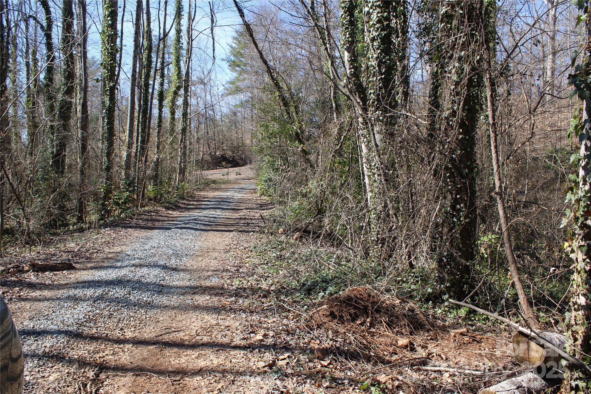 0 Rutherford Street Spindale, NC 28160 - Photo 11 of 11