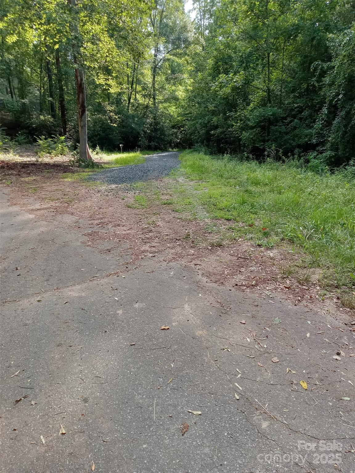 0 Rutherford Street Spindale, NC 28160 - Photo 2 of 11