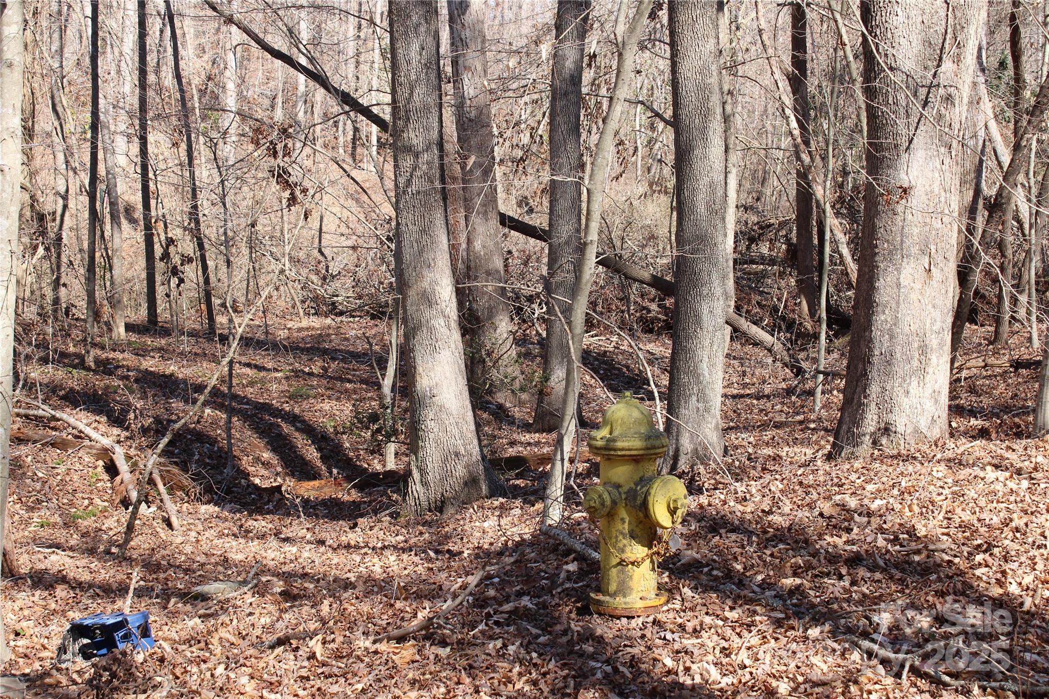 0 Rutherford Street Spindale, NC 28160 - Photo 4 of 11