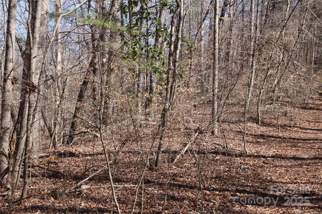 $69,900 | 0 Rutherford Street, Spindale, NC 28160