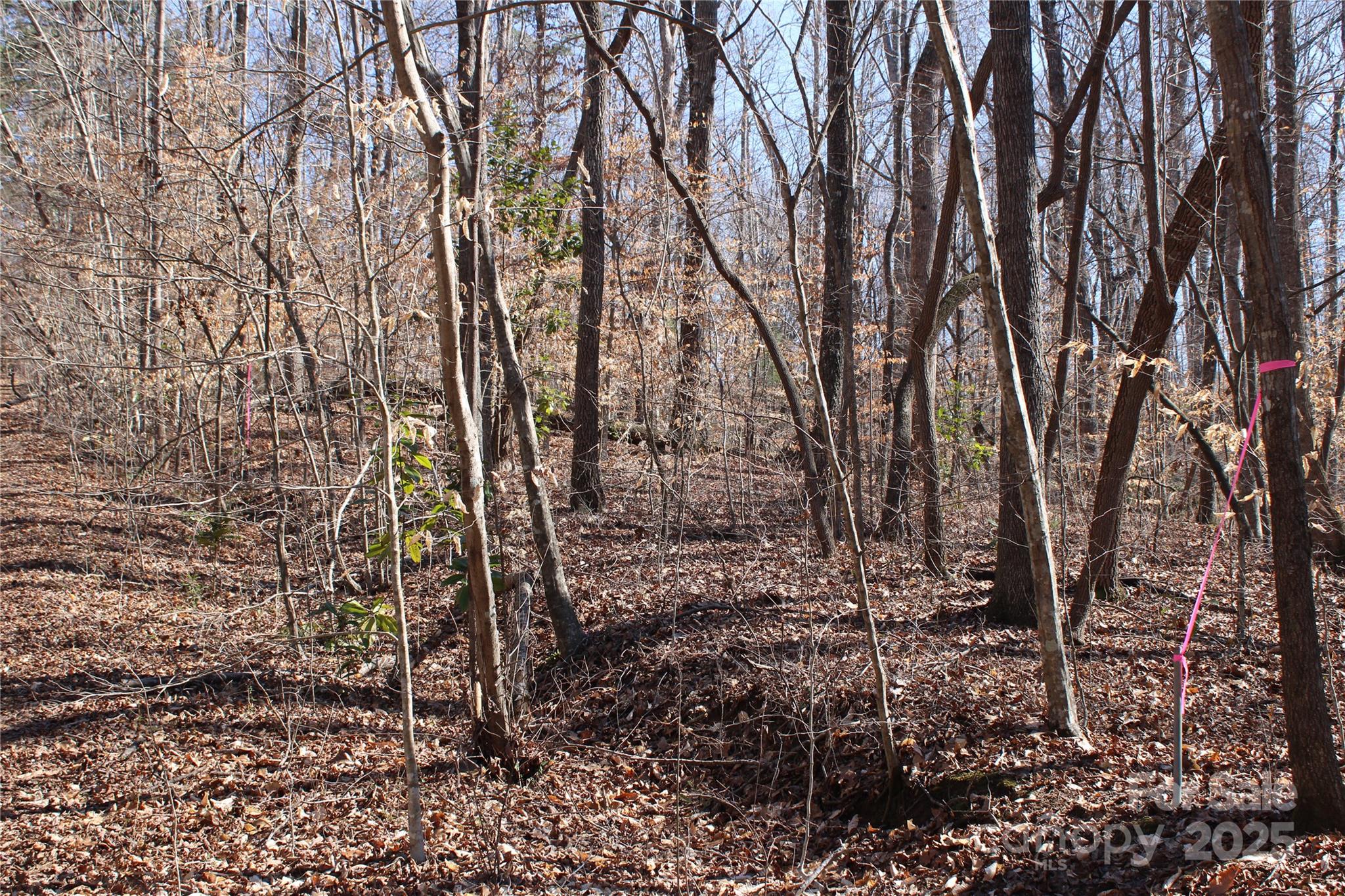 0 Rutherford Street Spindale, NC 28160 - Photo 6 of 11