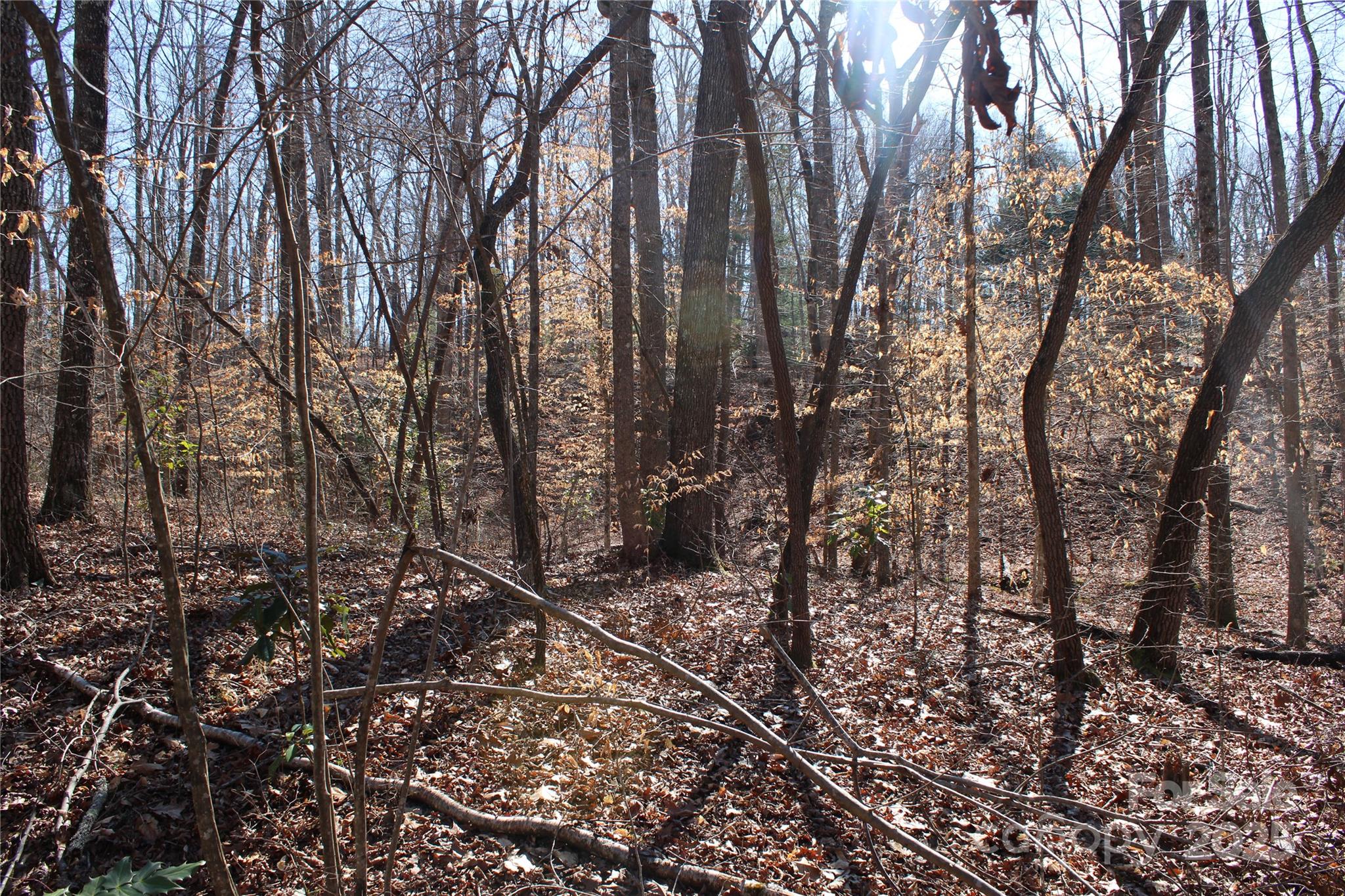 0 Rutherford Street Spindale, NC 28160 - Photo 7 of 11