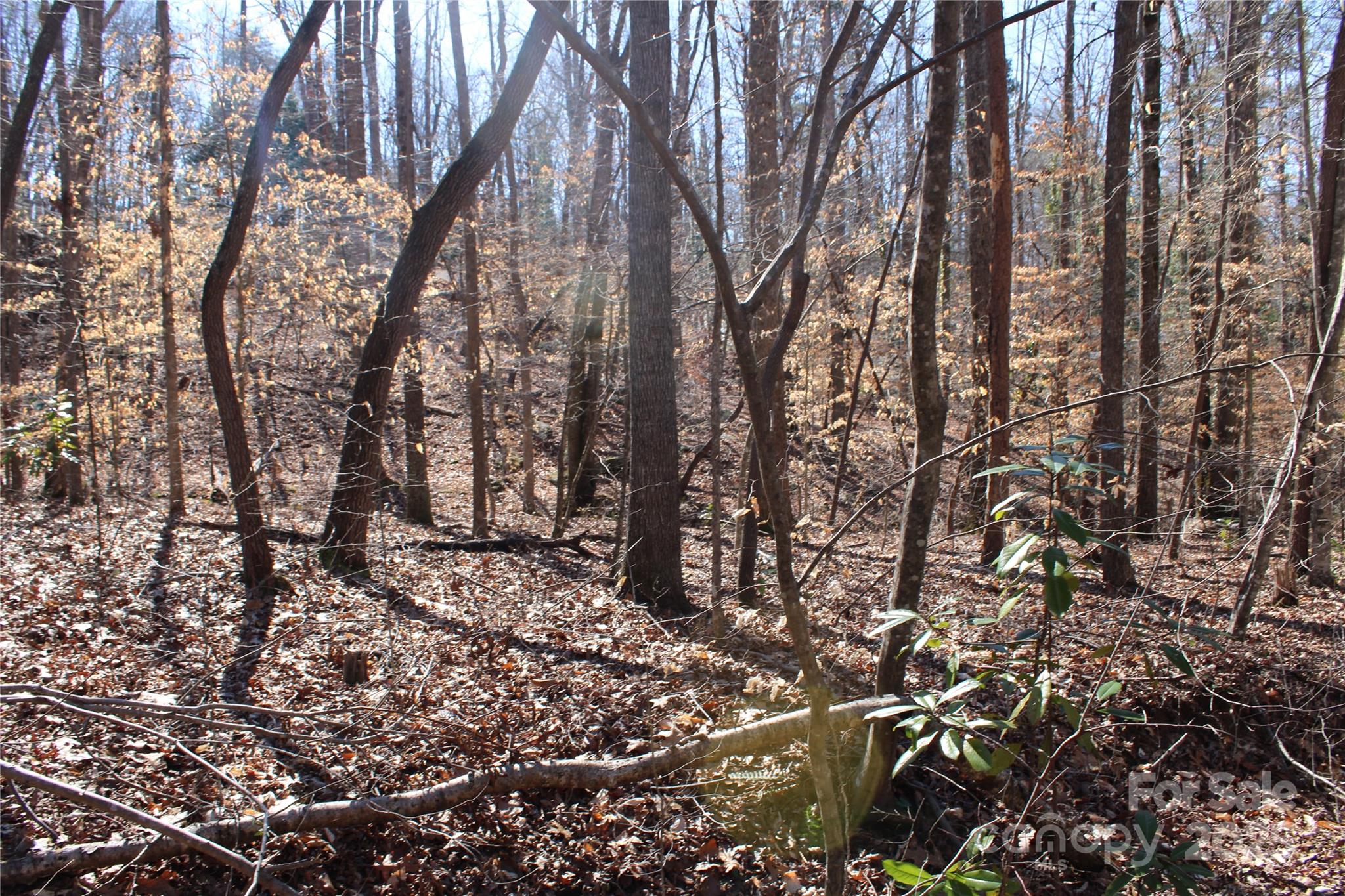 0 Rutherford Street Spindale, NC 28160 - Photo 8 of 11