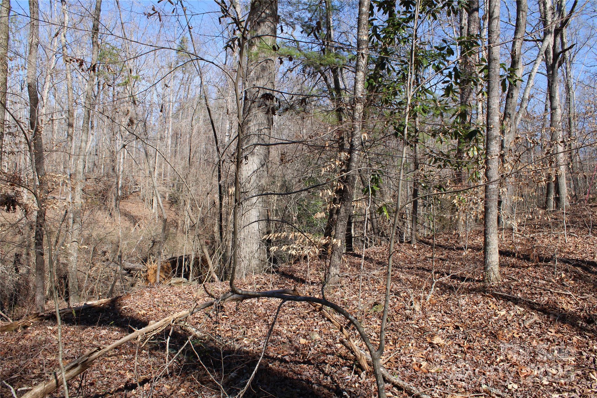 0 Rutherford Street Spindale, NC 28160 - Photo 9 of 11