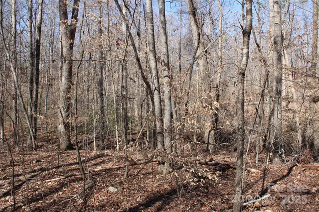 $69,900 | 0 Rutherford Street, Spindale, NC 28160