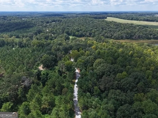 an aerial view of a houses with trees