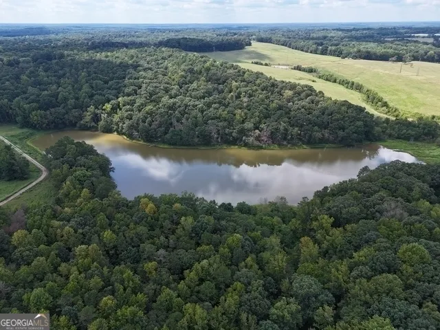 an aerial view of valley and lake