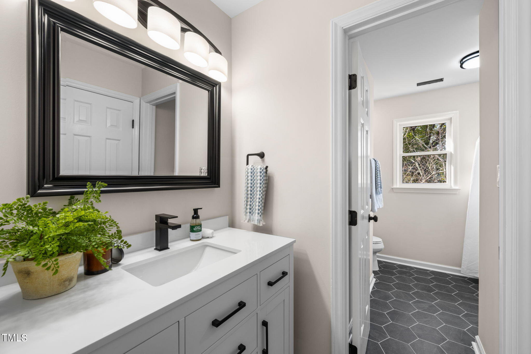 2512 Scouting Trail Raleigh, NC 27615 - Photo 15 of 36 a bathroom with a sink a potted plant and a mirror
