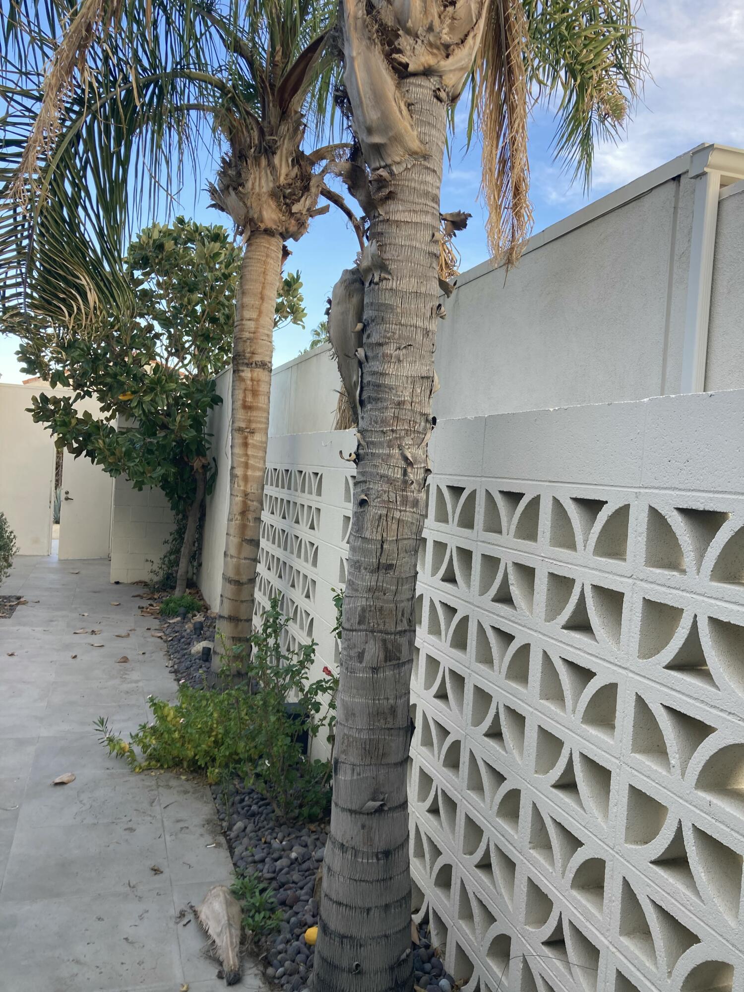 1810 Sandcliff Road Palm Springs, CA 92264 - Photo 40 of 43 IMG_1855